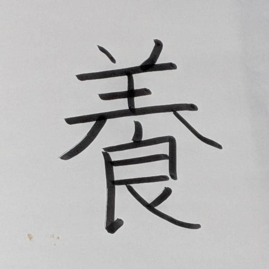だいち🐟さんが書いた漢字「養」の画像
